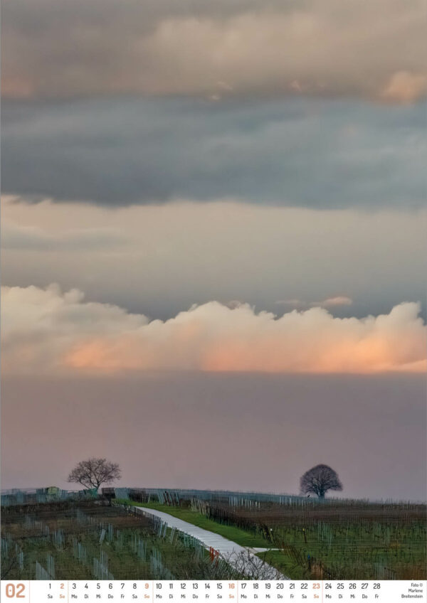 2025 Vineyard Dreams Calendar, February, two trees on a hill crest above barren vineyards, below a sunset glow.