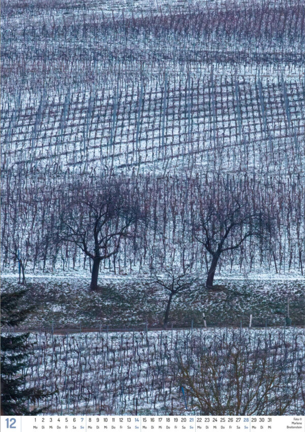 2025 Vineyard Dreams Calendar, December, two bare trees in snowy vineyards