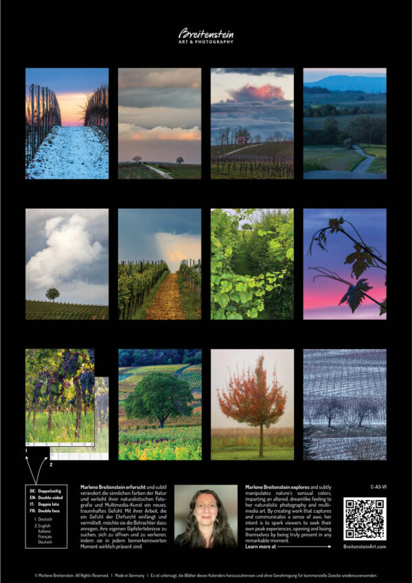 2025 Vineyard Dreams Calendar, back cover, showing all 12 photographs.