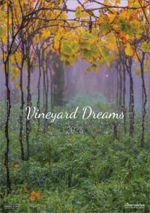 2025 Vineyard Dreams Calendar front cover, photo looking down between two rows of vines, with yellow leaves in autumn, and a soft purple mist.