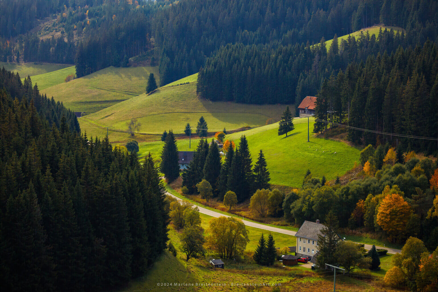 Photo of green rolling hills in Germany's Black Forest, the upper portions covered in spruce trees. In the valley is a road, two houses and a barn, and trees with autumn foliage.